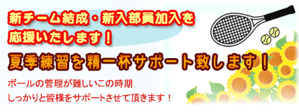 ソフトテニスボール アカエム ケンコー ダンロップ 試合球 練習球 テニスラケットの販売 グリーンスクエア